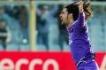 Fiorentina, stagione finita per Amauri